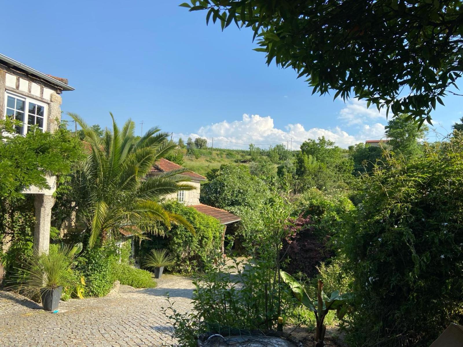 Quinta De Ribas Villa Amarante Exterior photo