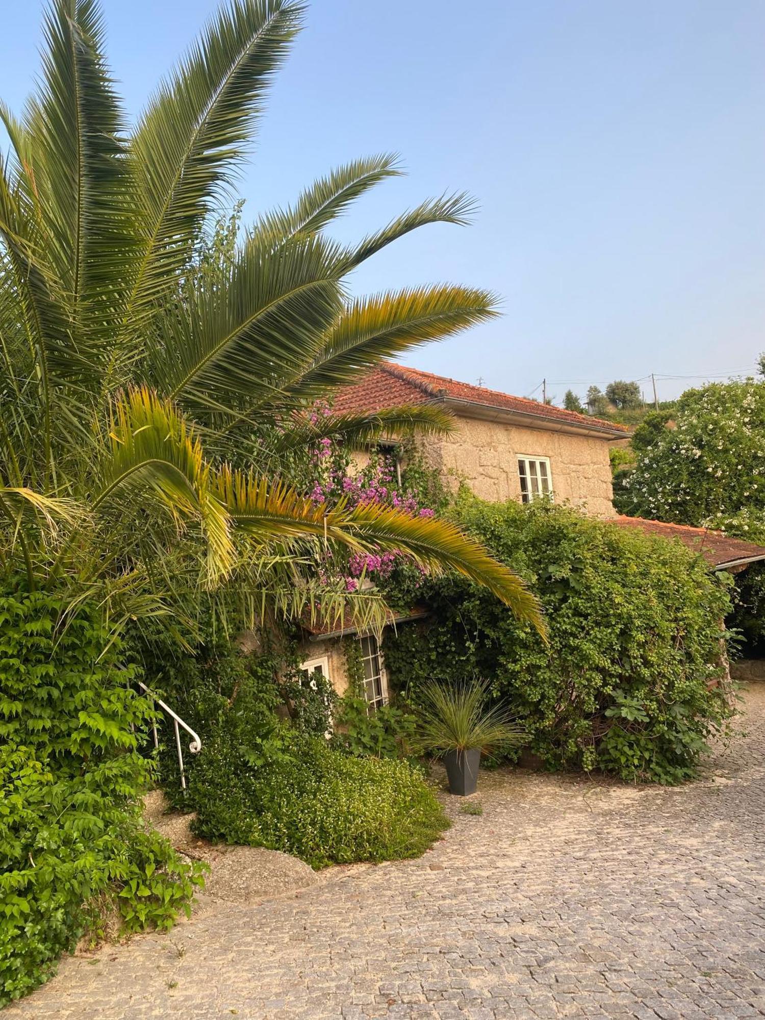 Quinta De Ribas Villa Amarante Exterior photo